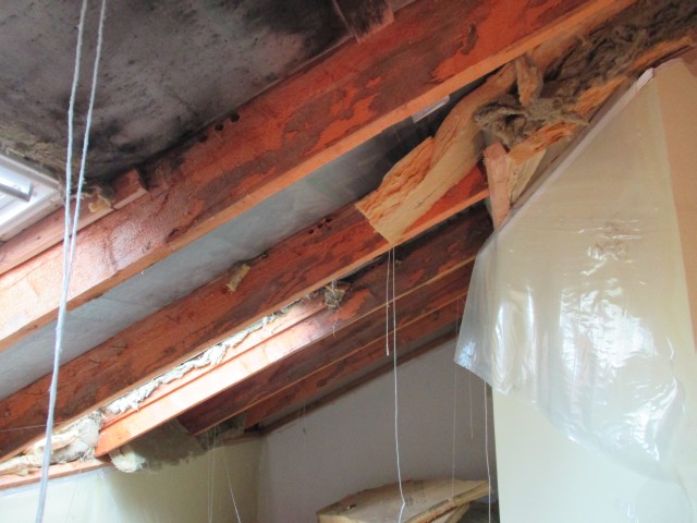 Kosteusvaurio- ja homevauriokorjaukset pääkaupunkiseudulla